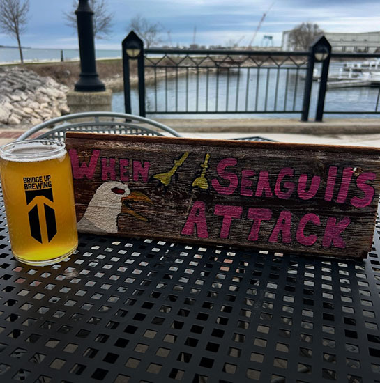 Bridge Up Brewing When Seagulls Attack Bridge Up Brewing When Seagulls Attack
